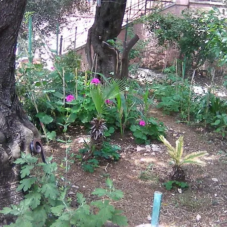 Appartement Robin House In Nisaki *