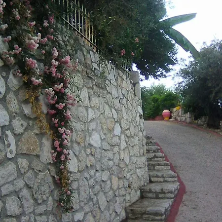 Robin House In Nisaki