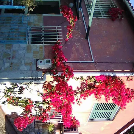 Robin House In Nisaki Appartement *